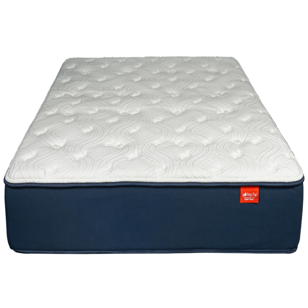 Big fig mattress price discount