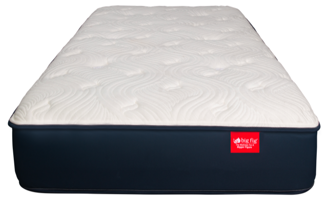 Big Fig Twin (38" x 75" x...